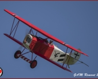 TSR Watermark - 0368